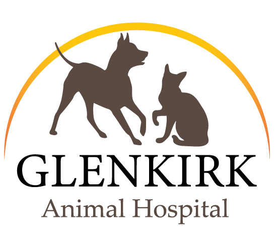 Glenkirk Animal Hospital - Gainesville , Virginia - Home