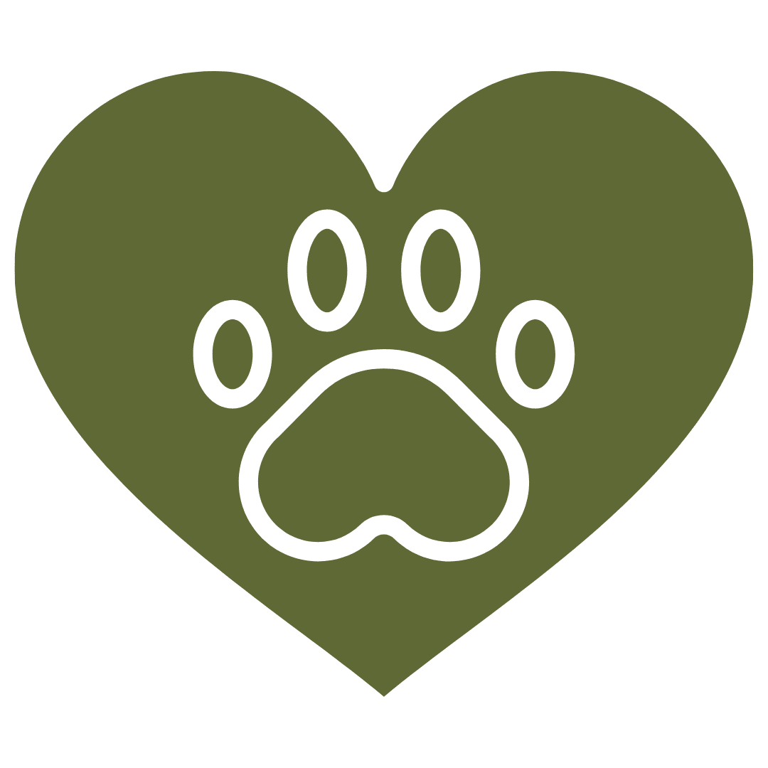 Pet Wellness